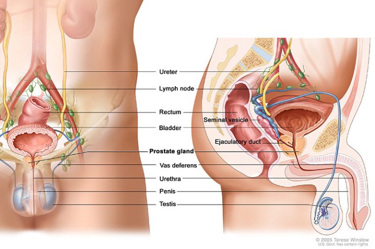 PROSTATE HEALTH – Series 3